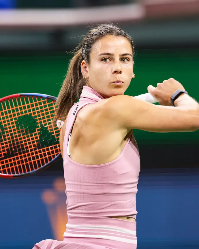 武汉网球公, 此后, msn